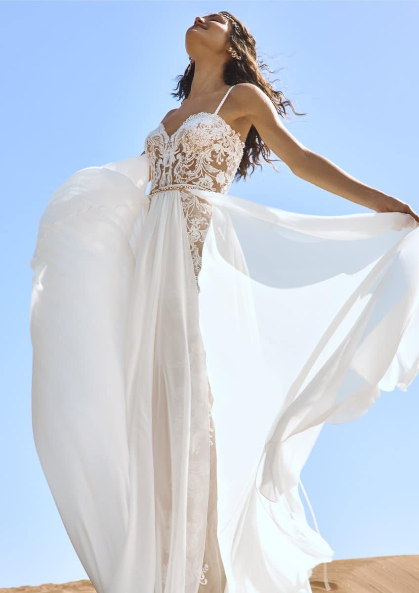 Pronovias Goblin Brautkleid