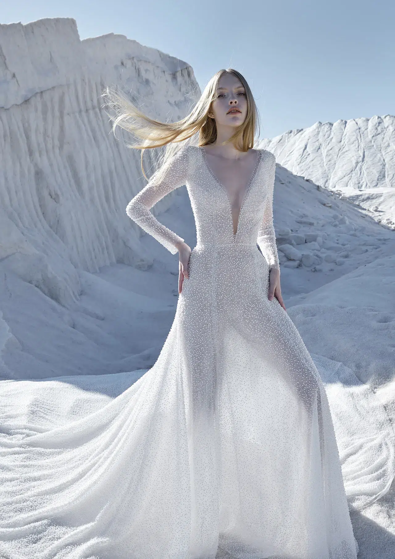 Atelier Pronovias Rosier Brautkleid