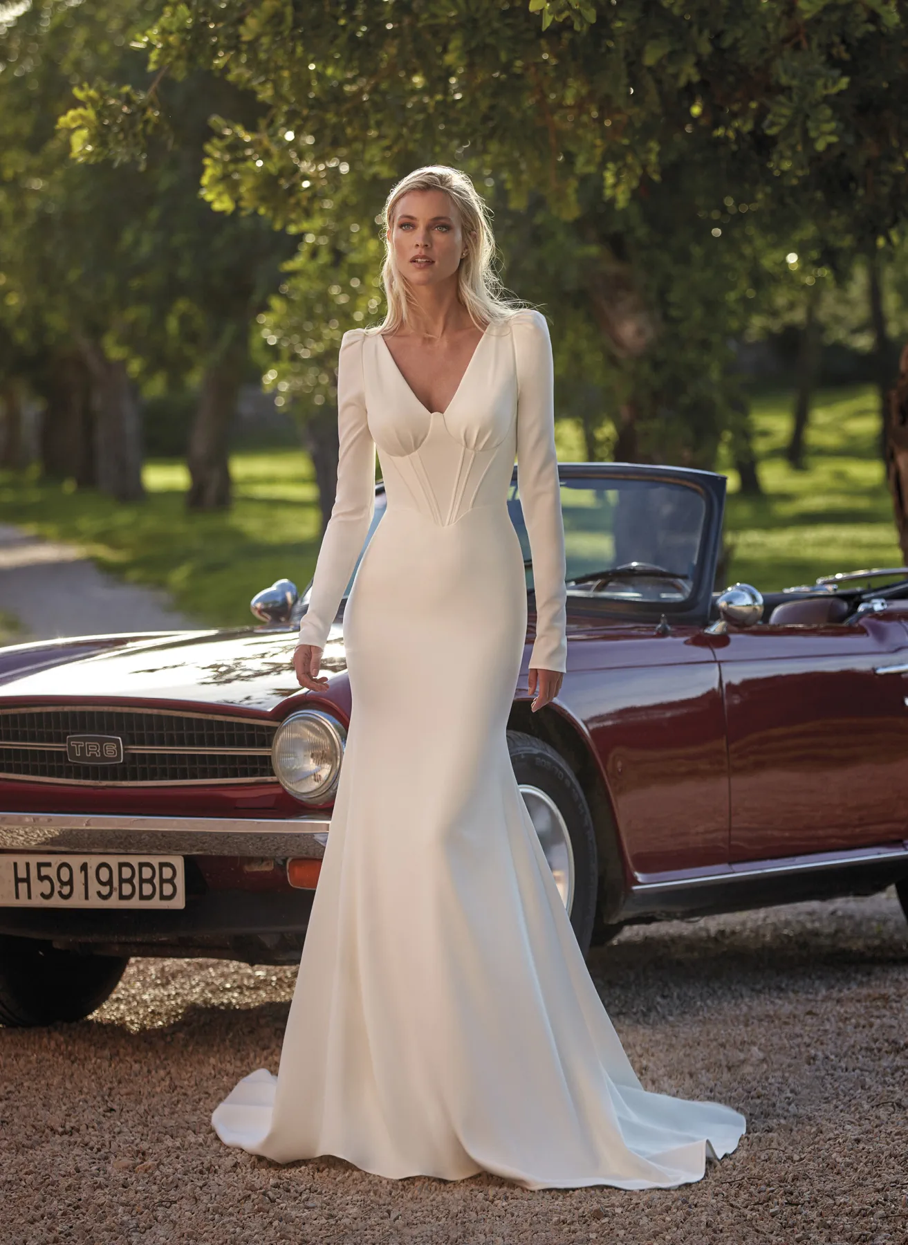 Pronovias Alessandria Brautkleid