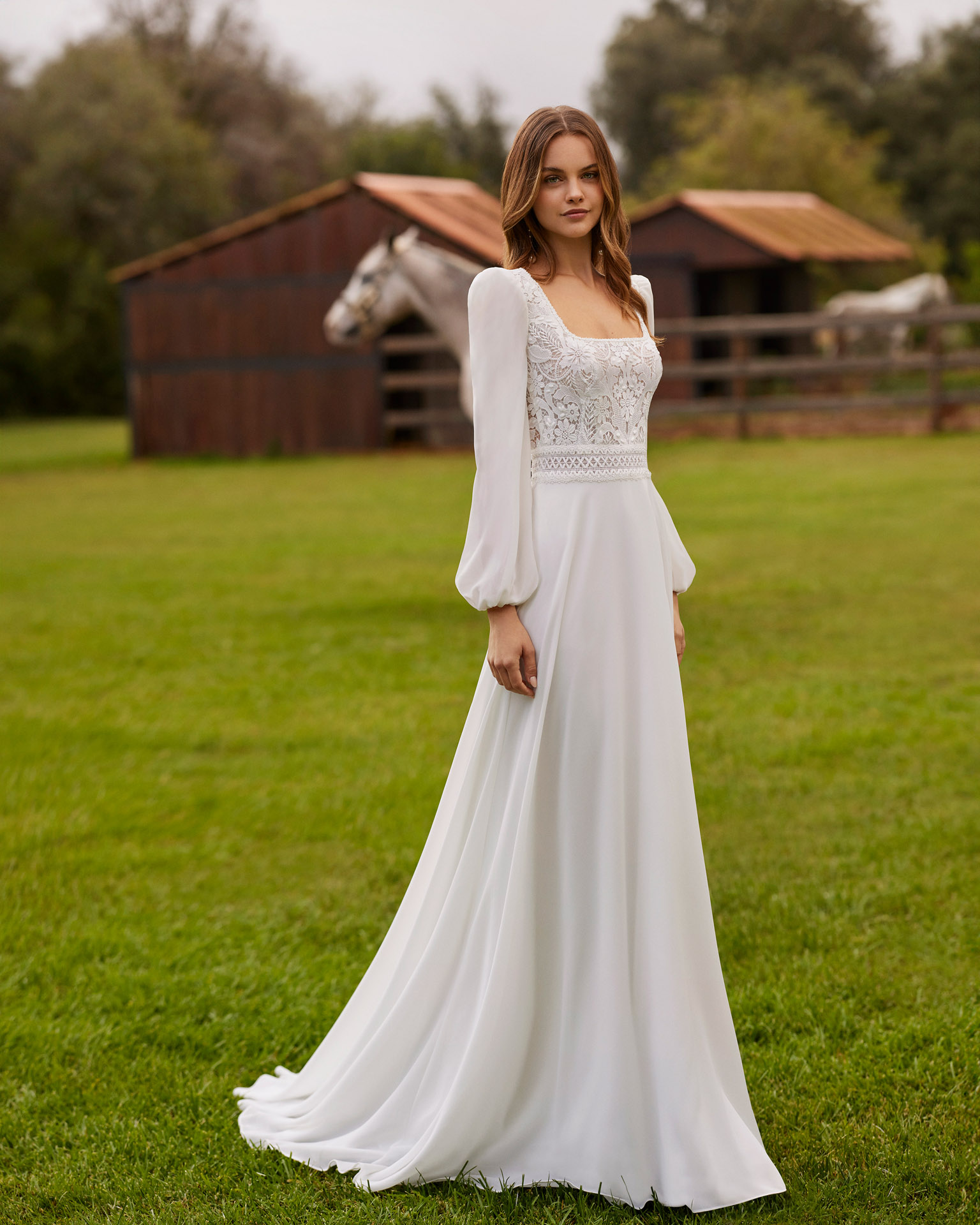 Alma Novia Neimy