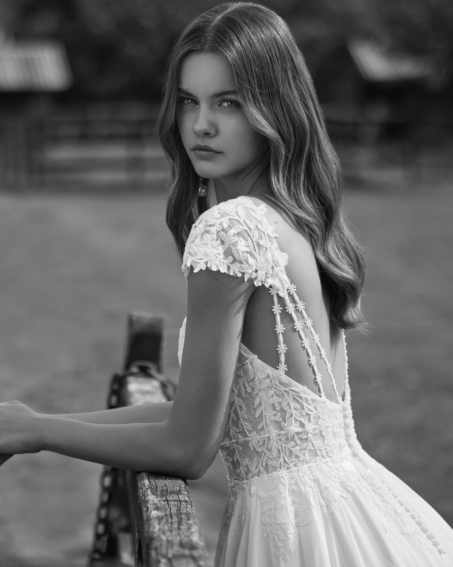 Alma Novia Netzer